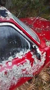 Volvo 142 on forest #rust #rustvolvo #oldcar #volvo142#abandoned