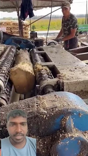 How Logs Are Perfectly Straightened Using Machines