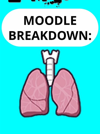 Moodle Breakdown - Endurance #ProjectZomboid #build42 #zomboidtips | Project Zomboid