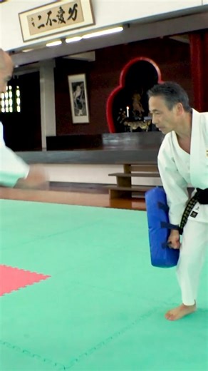 Kobudo Mart on Instagram: "Shorinji Kempo (少林寺拳法, Shōrin-ji Kenpō, meaning “Shaolin Temple Boxing”) is a Japanese martial art claimed to be a modified version of Shaolin kung fu.[1] The name Shōrinji Kempo is the Japanese reading of Shàolínsì Quánfǎ. It was established in 1947 by Doshin So (宗 道臣, Sō Dōshin) [born Michiomi Nakano (中野道臣, Nakano Michiomi)], a Japanese martial artist and former military intelligence agent who lived in China for many years before and during World War II. . . . #japan