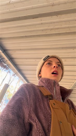 3 comments | Update on the Milk Crate Nesting box 讀#fyp #diy #nestingbox #chickenlife #animals | Ben Kasey | Facebook