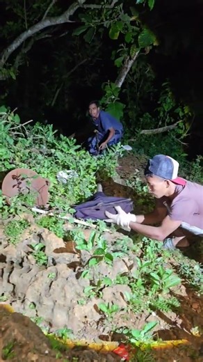 the magga tree became a place for wild animals #shortvideo