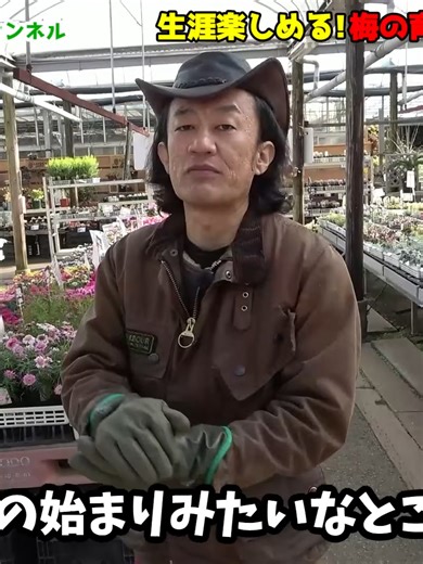 梅の育て方：初心者向けガーデニングガイド