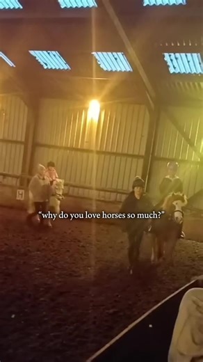 Essential Tips for Horse Riding Beginners