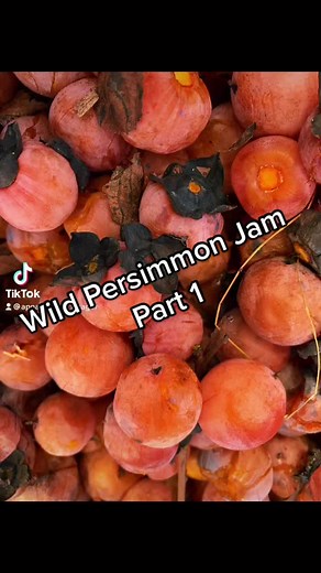 Wild Persimmon Jam Recipes | Foraging and Canning Delights