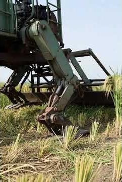Old School Robot Harvester in Action! 🤖🌾🔥