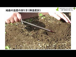 小学校理科 6温度計の使い方