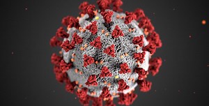 What's a virus, anyway? Part 2: How coronaviruses infect us -- and how viruses created us