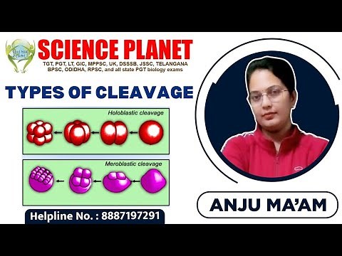 TYPES OF CLEAVAGE II BY ANJU MA'M II SCIENCE PLANET II Embryonic Development