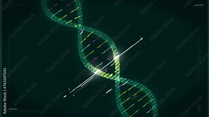 Medical Laboratory Analysis. Inspecting the Gene content of the DNA. Searching for the Gene Mutations in the Patient`s Body. Investigating the disease. Gene Research Process. Computer User Interface.