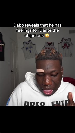 #dabo #kaicenat #elanor #fyp | eleanor chipmunk