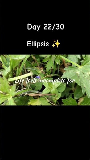 Something Missing 😕 #wordwise5 #wordforbeginners