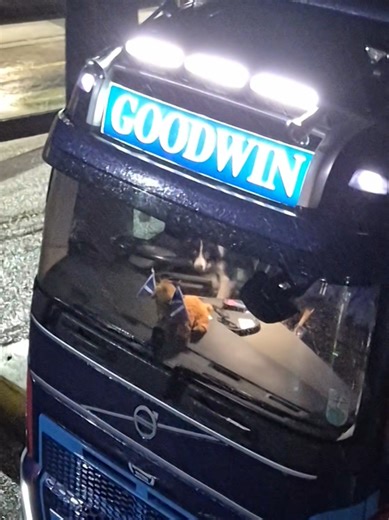 Trucking with Dogs: Meet Our Loading Pup