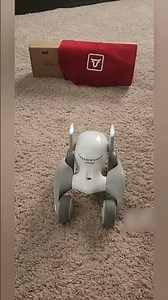 Loona robot imitating a bull #loona #loonarobot #petrobot #airobot #petbot