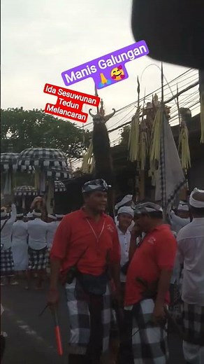 Ida Sesuwunan Tedun Melancaran 🙏 #manisgalungan #adathindubali #budayahindubali #pondokdarman
