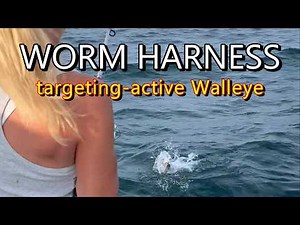 Worm Harness Fishing for Walleye – How to + Tips