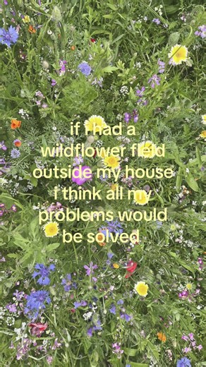 i might just make my own because theres none near me😔 i wanna find caterpillars too#flower#flowerfield#whimsical#repost#aesthetic