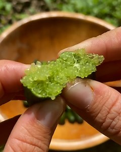 These fruits are so unusual 😮 | UNILAD