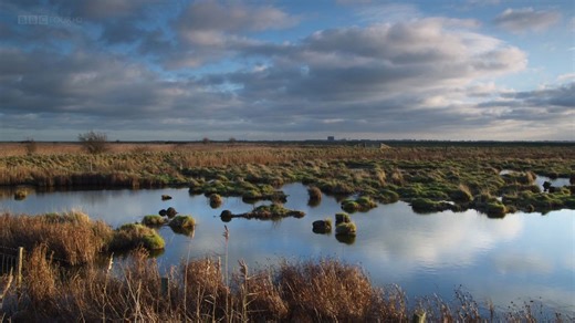 BBC自然世界：埃塞克斯原野 Natural World: The Wild Places of Essex (2010) 中英字幕