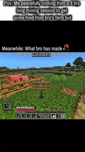 Bro you made the best farm in the world 🥀 | Minecraft