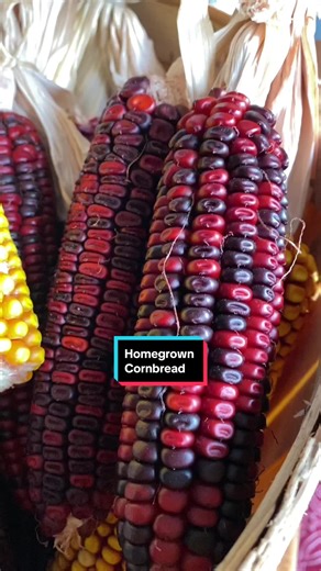 Garden Fresh Cornbread Recipe from Scratch