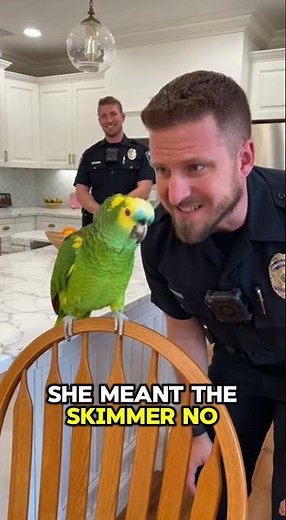 PARROT Exposes Wife and Pool Boy in Savage Takedown! 🦜💦