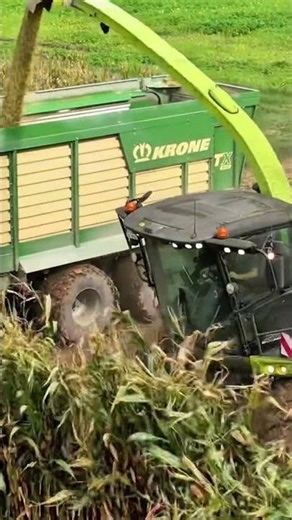 🔥 CLAAS Jaguar 970 Forage Harvester in Action