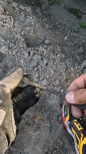 I love finding utensils, especially when they’re on top of the ground. Happy hunting. ￼