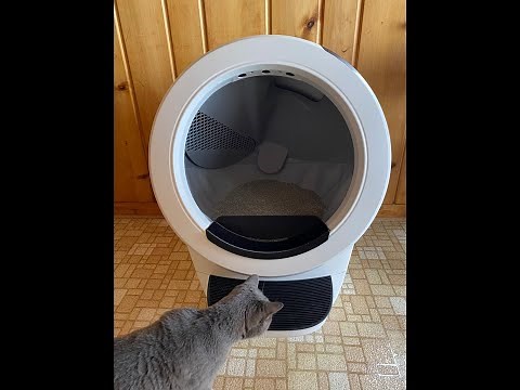 My Litter Robot 4 Review | Unpacking, Setup & Wifi Onboarding