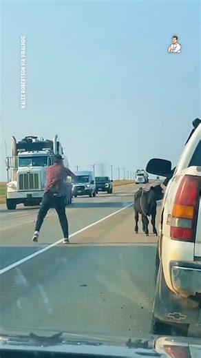 Modern day cowboys in action 🤠 | Dad Jokes