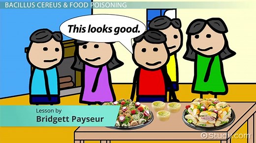 Bacillus Cereus Gram Stain, Morphology & Spores