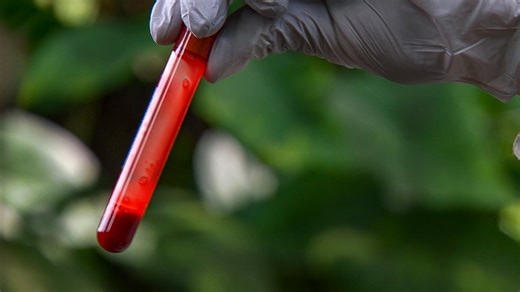 Komodo dragon and its effects.