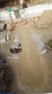 hello girls like karna comment karna Pintu Kumar