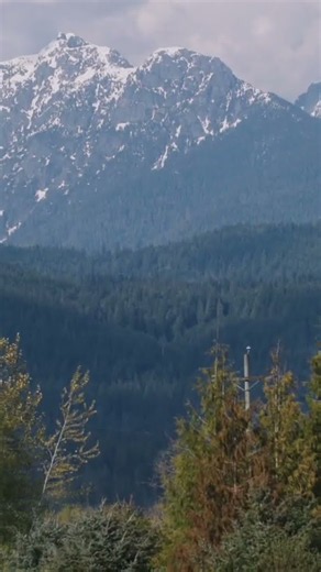 FRST 303: Into the Woods: An Introduction to Forest Science