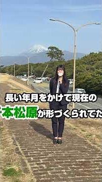 富士山、海の幸、深海魚！見どころいっぱいの沼津観光はタクシーが正解🚕💨プロの案内で、効率よく最高の旅を楽しみませんか？沼津の移動は当社にお任せください✨ #タクシー #沼津観光 #静岡旅行 #富士山