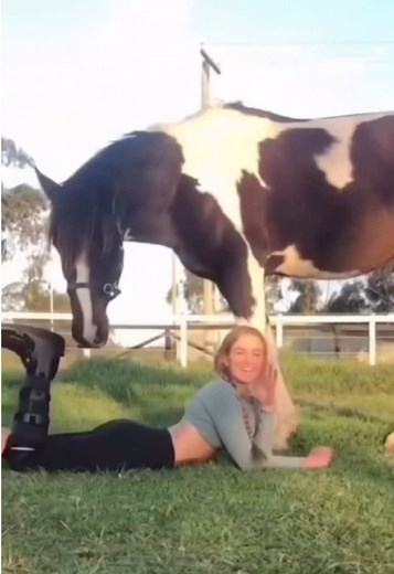 Horse Riding Fails and Falls Compilation