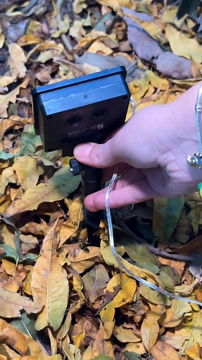 29K views · 207 reactions |  ¡Decora con color y sin cables! Esta serie LED RGB con panel solar te permite elegir entre 8 modos de iluminación para llenar tu jardín de magia.  Ahorra energía y aprovecha 20% OFF  https://bit.ly/47HrbsB  ¿Ya sabes qué zona iluminarás? Promoción válida en productos seleccionados del 28 de octubre al 20 de noviembre 2025 | Steren El Salvador | Facebook