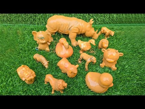 Can You Guess the Giant? Exploring Largest Farm & Jungle Massive Animals