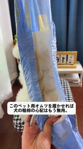 愛犬のための便利なペット用オムツ