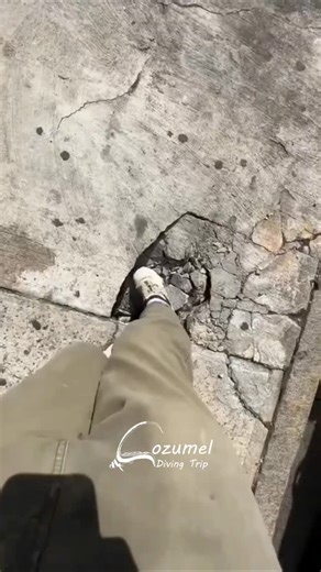 🌊 Dive into Paradise with Cozumel Diving Trip! Explore the crystal-clear waters of the Caribbean, swim alongside turtles, rays, and colorful coral reefs, and experience world-class scuba diving in Cozumel — one of the top dive destinations in the world! 🌴🐠 Whether you’re a beginner or certified diver, our professional team guarantees safe, fun, and unforgettable underwater adventures. 👉 Book your dive today at www.cozumeldiving.com.mx #CozumelDivingTrip #CozumelDiving #ScubaCozumel #CozumelM