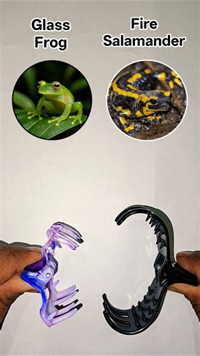 Fire Salamander and Glass frog 😀🤣🤣🥹🥺😅🥲😅🥺🥲🥹🥲 #shorts #shortsfeed #countryballs #funny