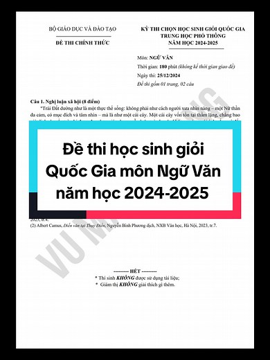 Đề thi học sinh giỏi Quốc Gia môn Ngữ Văn 2024-2025