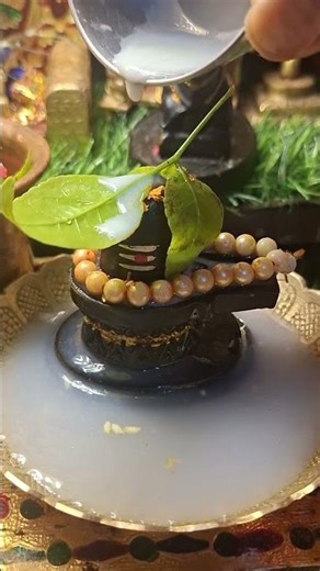 From 12th to 19th, the lock of fate of these four zodiac signs will open #shortvideos #rashiphal