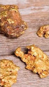 Bester Metalldetektor in 2023!