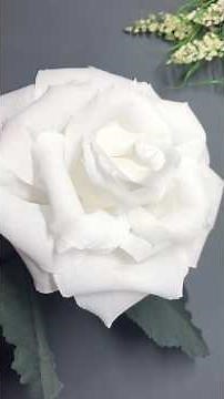 Como hacer una rosa fácil de papel crepe #flores#papelcrepe#anilopezmanualidadesymas