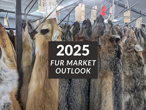 2025 - 2026 Fur prices (Fur Market Outlook)