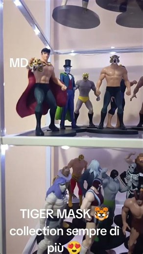 TIGER MASK collection 🐯