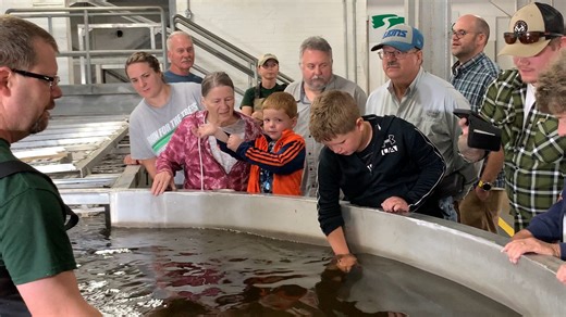 Menominee, MI: our popular sturgeon passage tour is back! Join us on Monday, September 22 to get a behind-the-scenes look at how sturgeon move up and downstream around two hydroelectric dams on the Menominee River. Sturgeon petting is a part of the fun! Event is free. Kids welcome with a supervising adult. Please register in advance. Details on the events page on our website. The fish passage project is among the most significant restoration projects in the Upper Midwest, thanks to nearly $12 mi