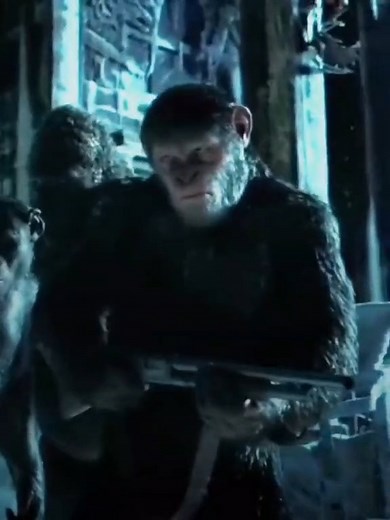 Caesar👑#planetoftheapes #planet of the apesrevolution #monkey #cinema #film #moviesevening #movies #films #filmclips #kino #kinofilm #filmclips | Hollywood Legends