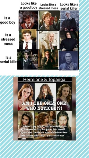 Harry Potter Memes That Are Too Accurate 😂 | Good Boy vs Serial Killer Chart #harrypotter #viral